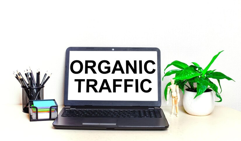 best seo company in san diego organic traffic