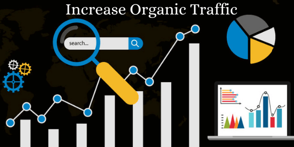 the importance of seo in web development increased organic traffic