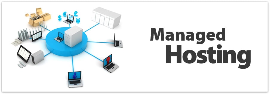 Top Managed Hosting Providers in 2024