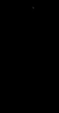 iPhone Frame